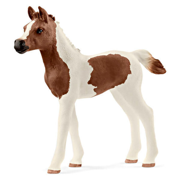 Фігурка Schleich Horse Club Лоша породи пінтабіан ( (13839)) - babystreet.com.ua