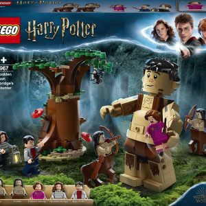 Конструктор LEGO Harry Potter Заборонений ліс Зустріч Амбридж (75967)