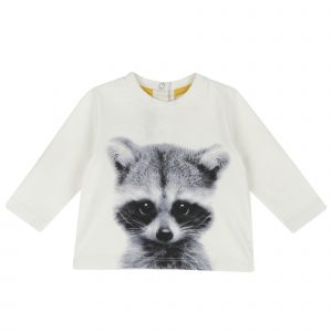Реглан Raccoon
