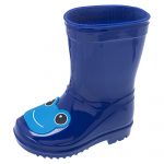 Чоботи Weis Blue